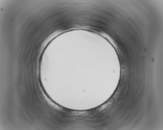 X0000086111143200704202259