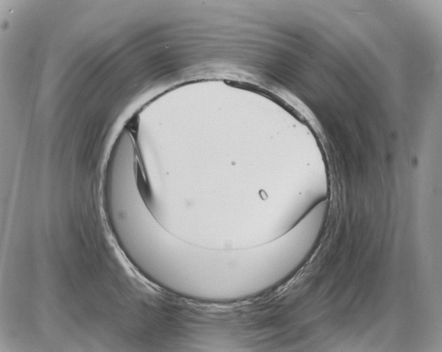 X0000086111144200704202259