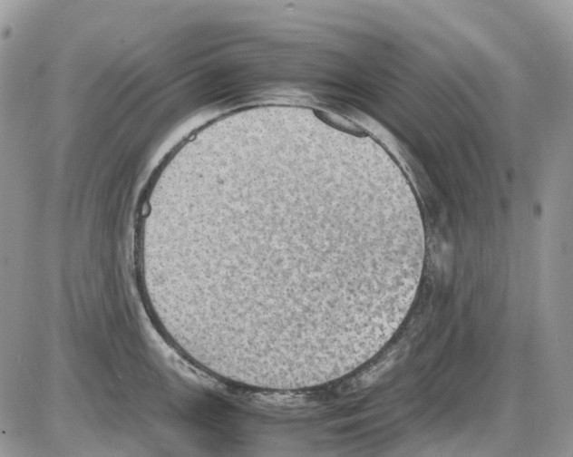 X0000086111147200704202259