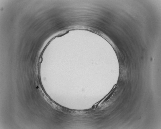 X0000086111148200704202259