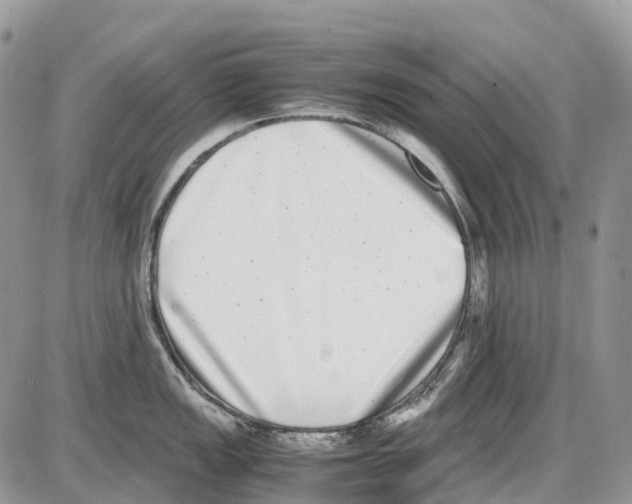 X0000086111149200704202259