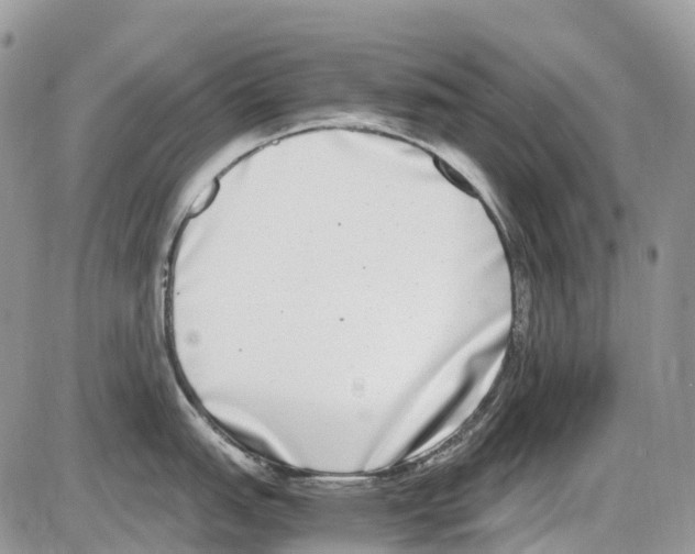 X0000086111151200704202259