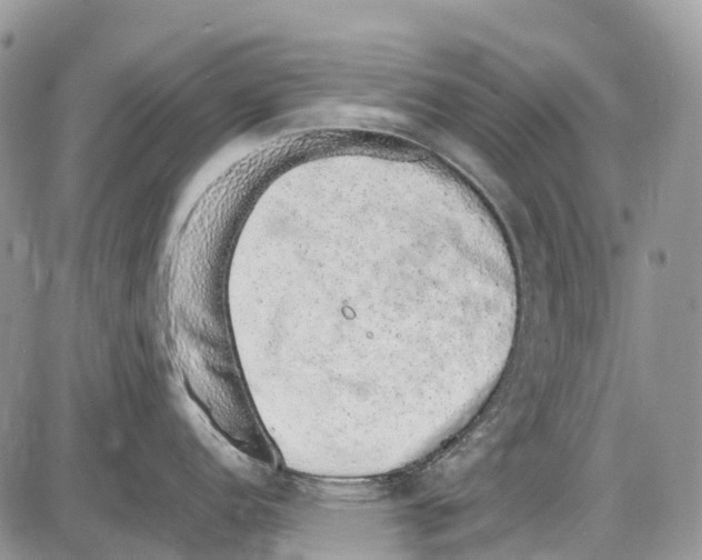 X0000086111152200704202259