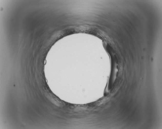 X0000086111153200704202259