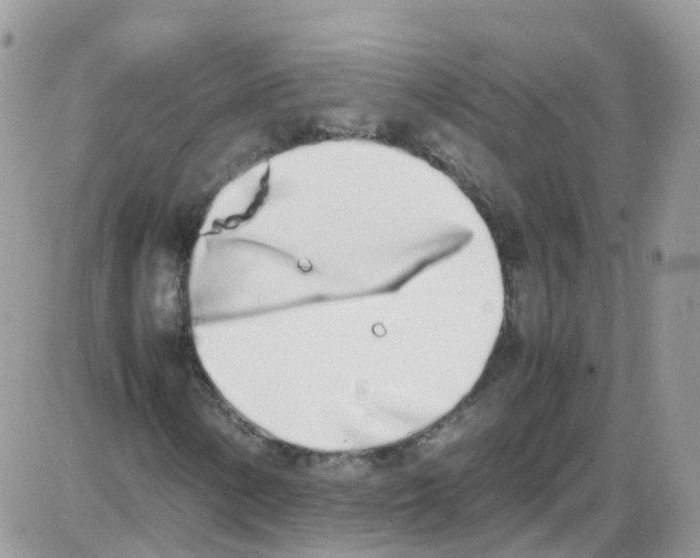 X0000086111154200704202259