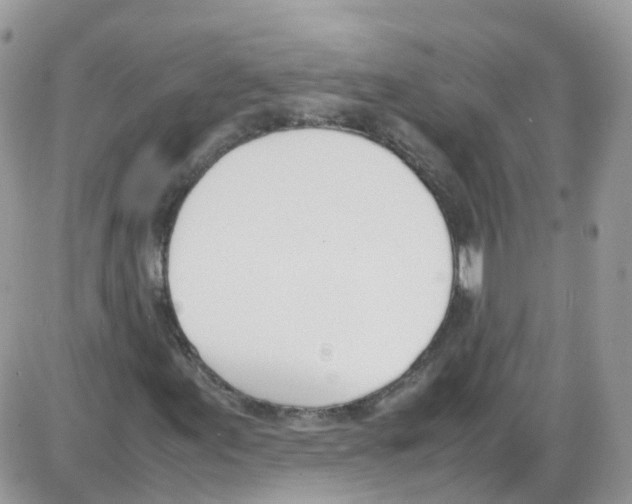 X0000086111155200704202259