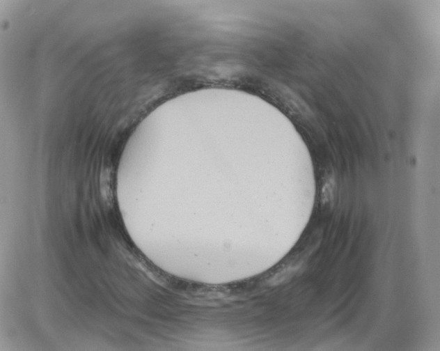 X0000086111156200704202259