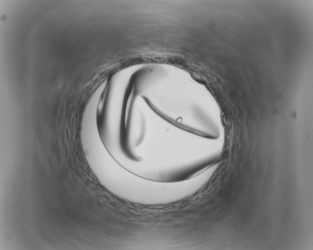 X0000086111157200704202259