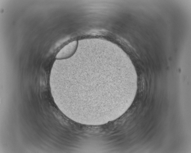 X0000086111158200704202259