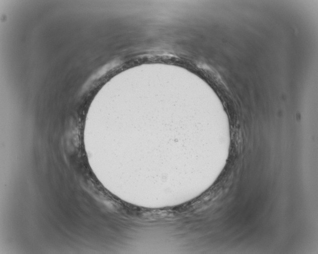 X0000086111159200704202259