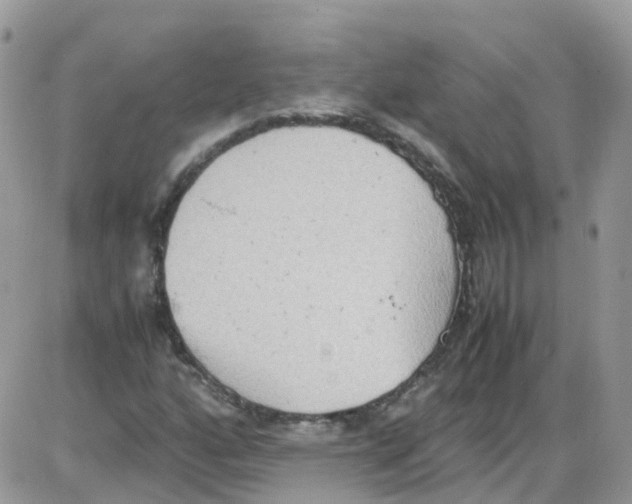 X0000086111160200704202258