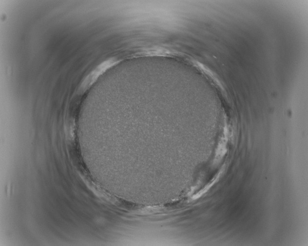 X0000086111161200704202258