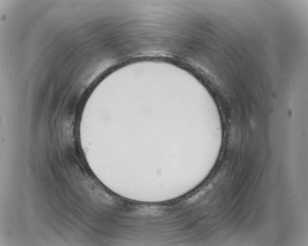 X0000086111162200704202258