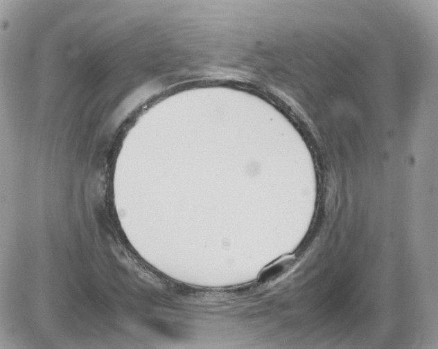 X0000086111163200704202258