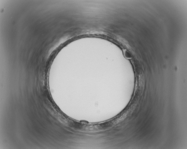 X0000086111165200704202258