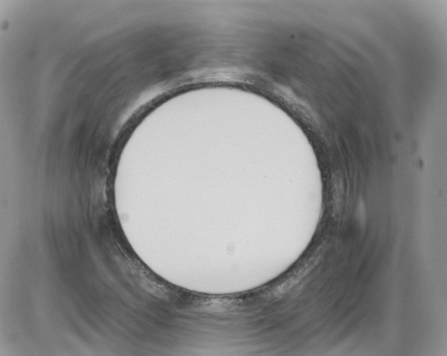 X0000086111166200704202258