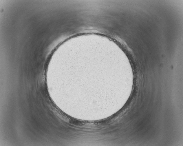 X0000086111167200704202258