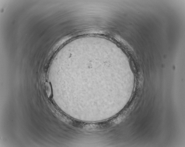 X0000086111169200704202258