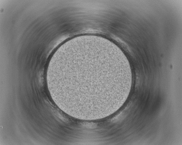 X0000086111170200704202258