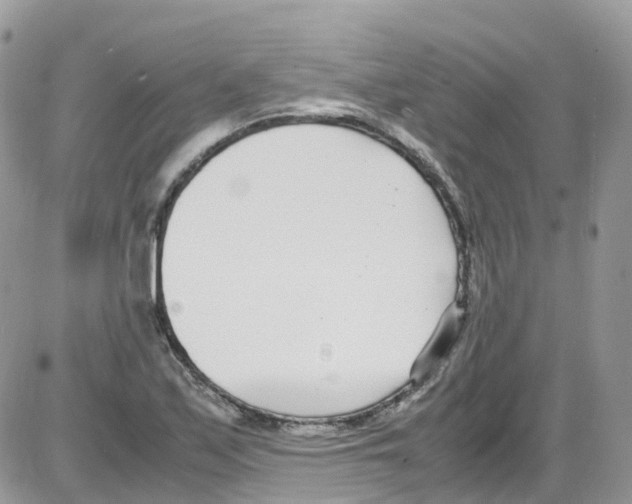 X0000086111171200704202258