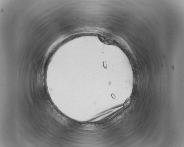 X0000086111172200704202258