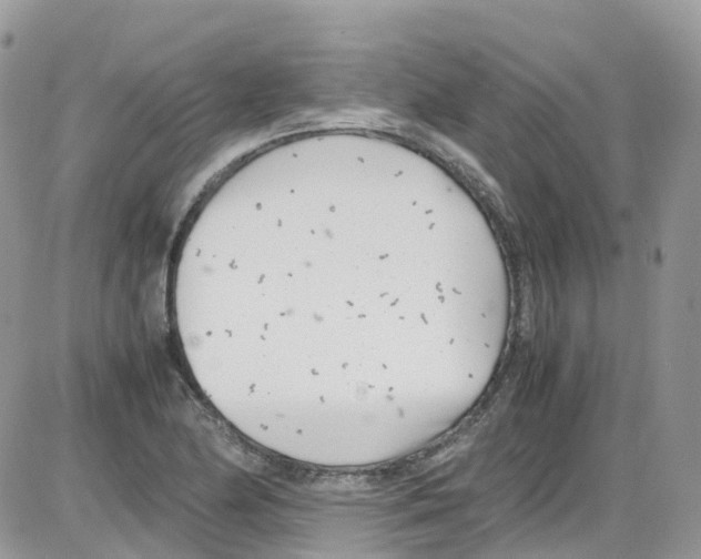 X0000086111174200704202258