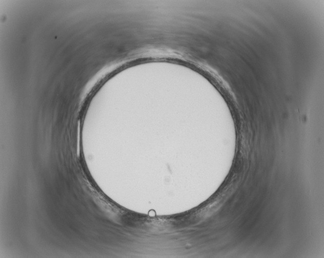 X0000086111175200704202258