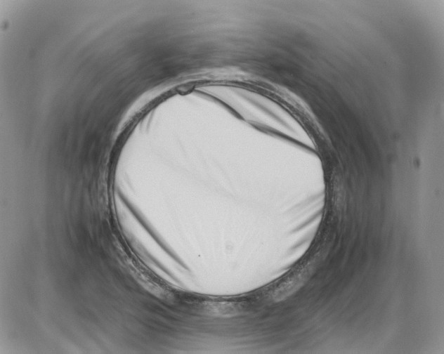 X0000086111176200704202258