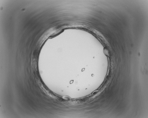 X0000086111177200704202258