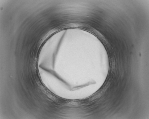 X0000086111178200704202258