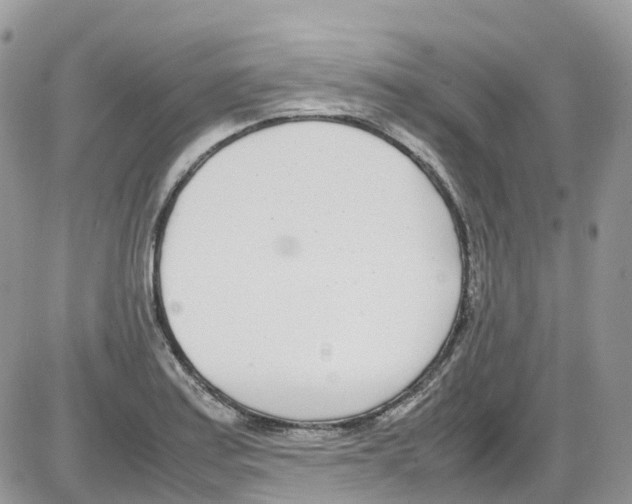 X0000086111179200704202258