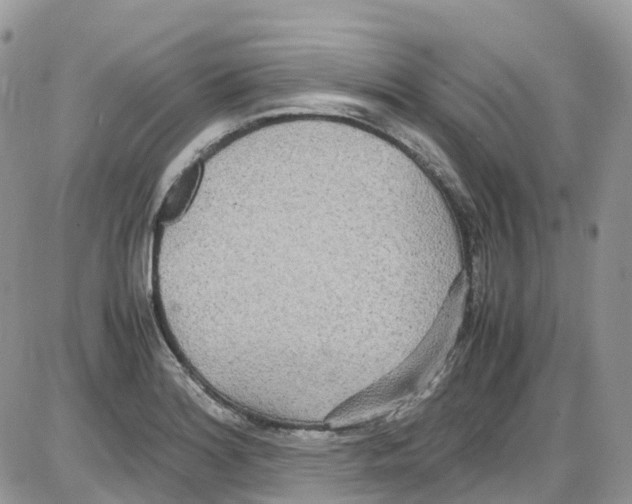 X0000086111180200704202258