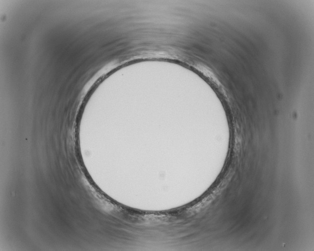 X0000086111181200704202258