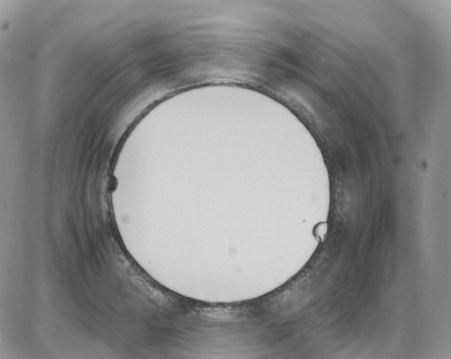 X0000086111182200704202258