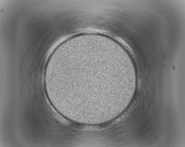 X0000086111183200704202258