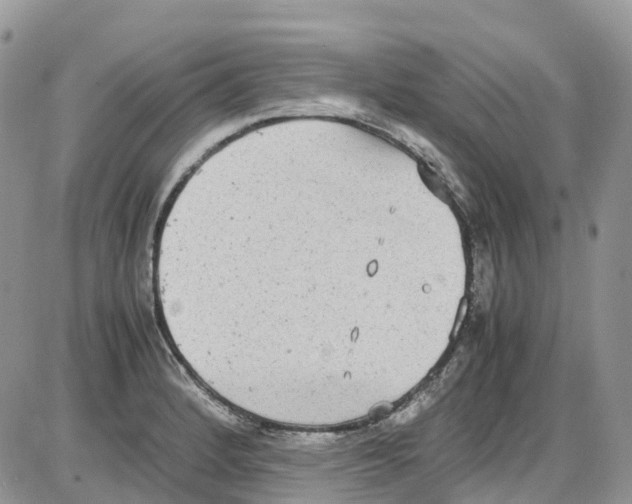 X0000086111184200704202258