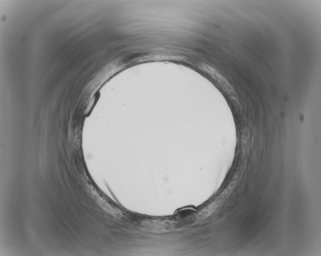 X0000086111185200704202258