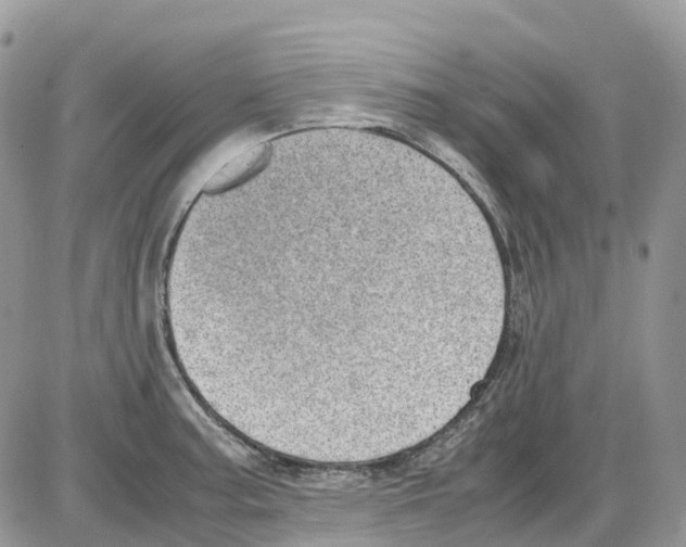 X0000086111187200704202258