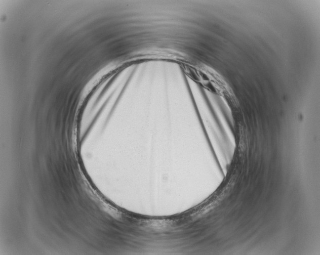 X0000086111188200704202258