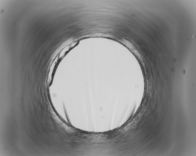 X0000086111189200704202258