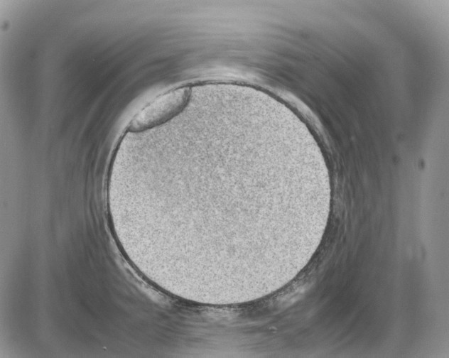 X0000086111191200704202258