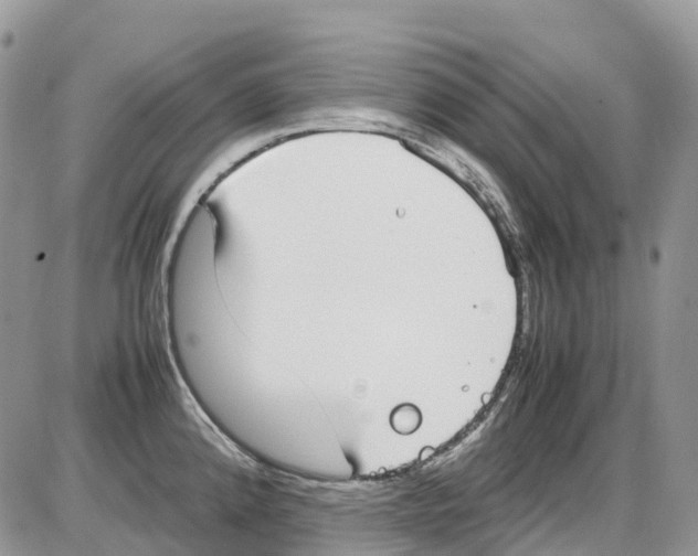 X0000086111192200704202258