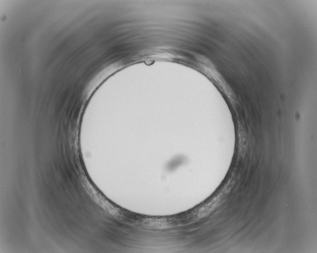 X0000086111194200704202258