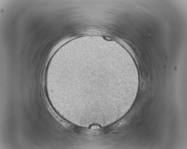 X0000086111195200704202258