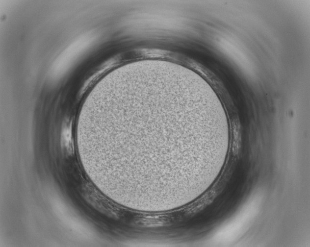 X0000086111198200704202258