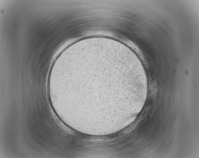 X0000086111199200704202258