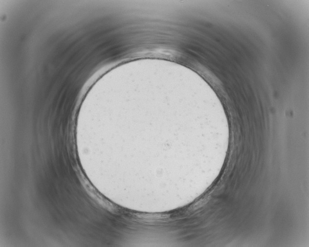 X0000086111200200704202258