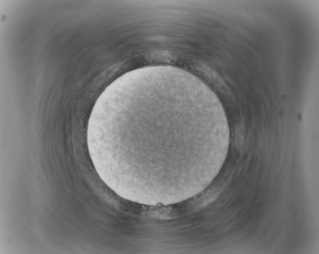 X0000086111201200704202257