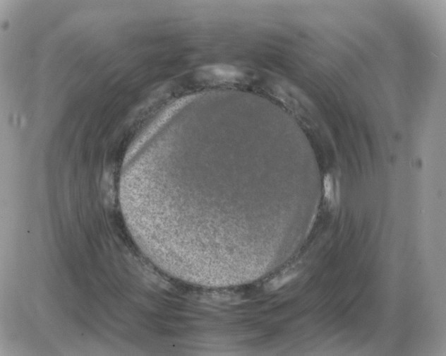 X0000086111203200704202257