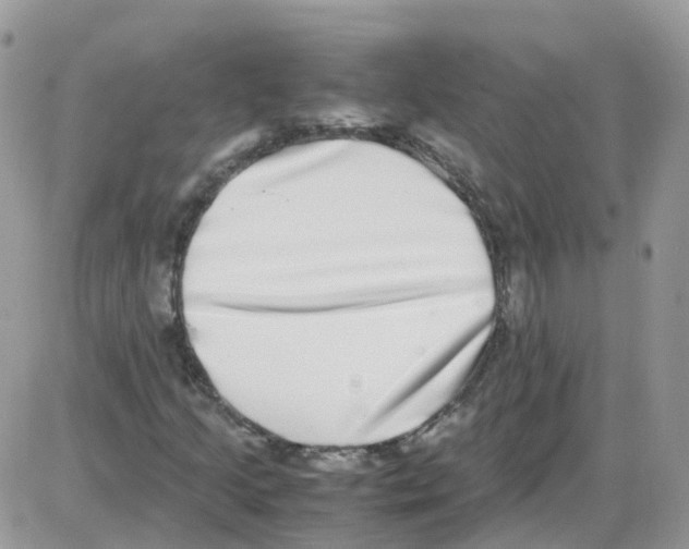 X0000086111205200704202257